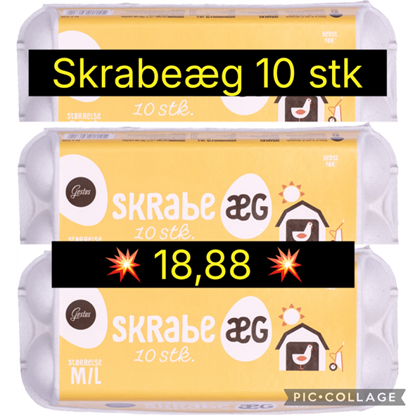 Gestus skrabeæg 10 stk